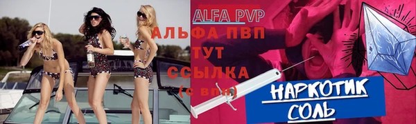 молекула духа Волоколамск