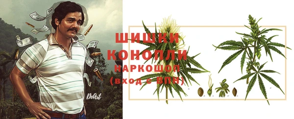 мдпв Верея